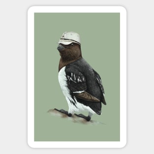 Little auk Sticker